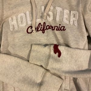 Hollister Hoodie (Like New)